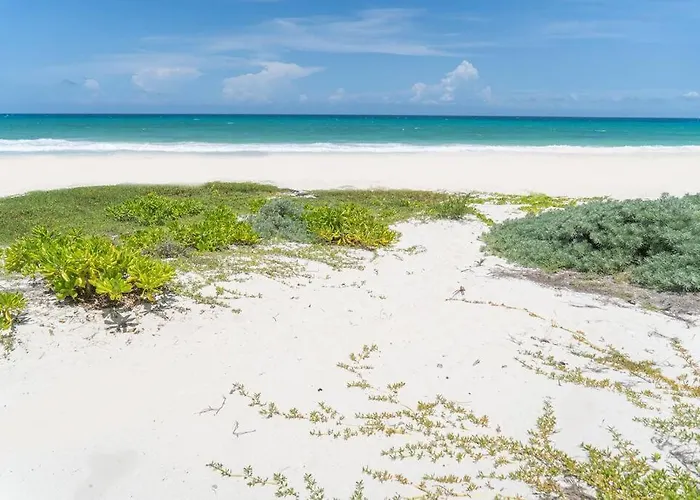 Ixchel - Right On The Beach! Puerto Morelos